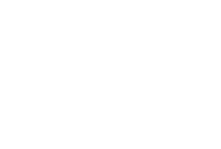 Vision 2030 logo